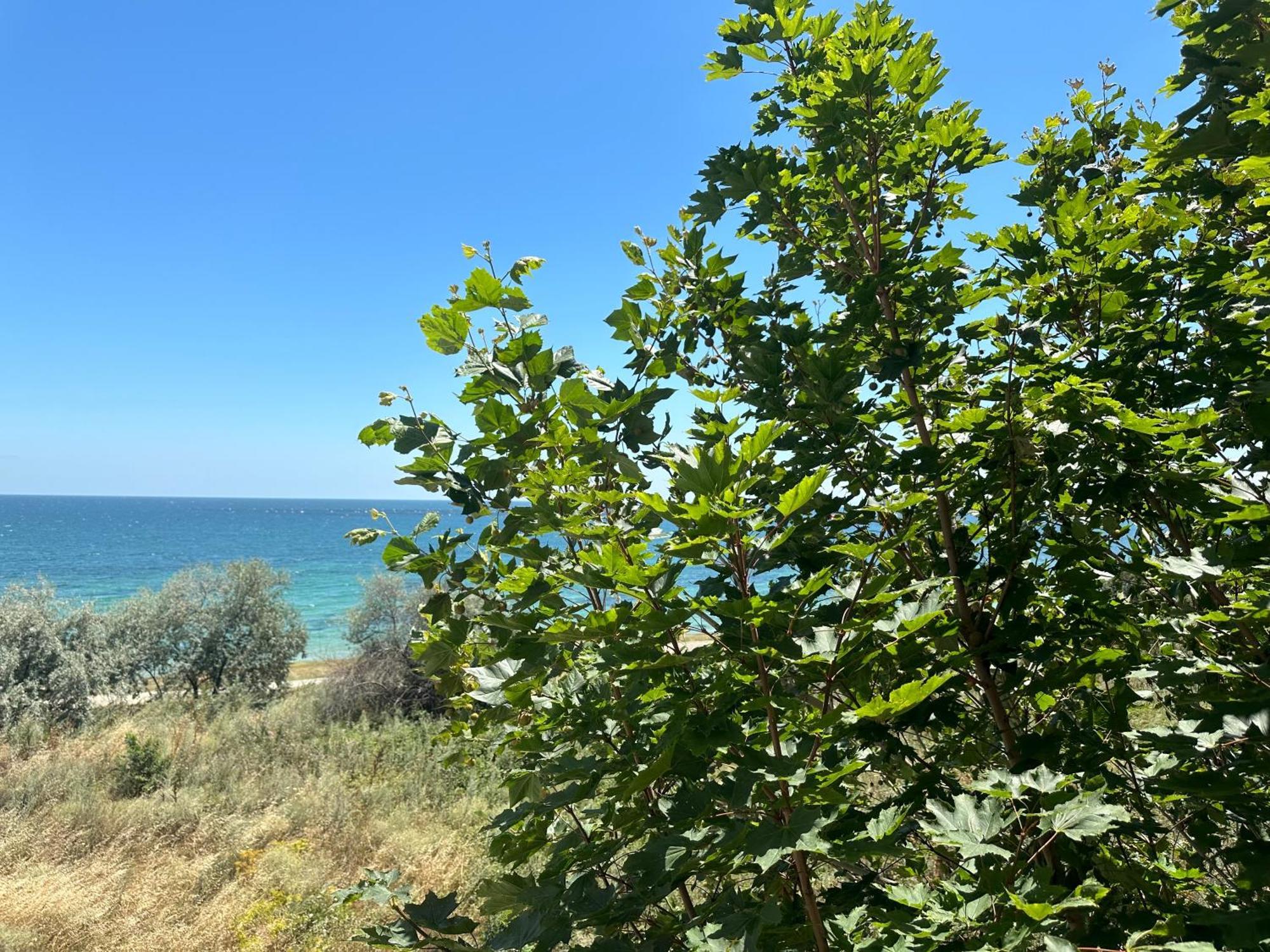 Riviera Fort Beach Apartments By Kalina Resort, Ravda Kültér fotó